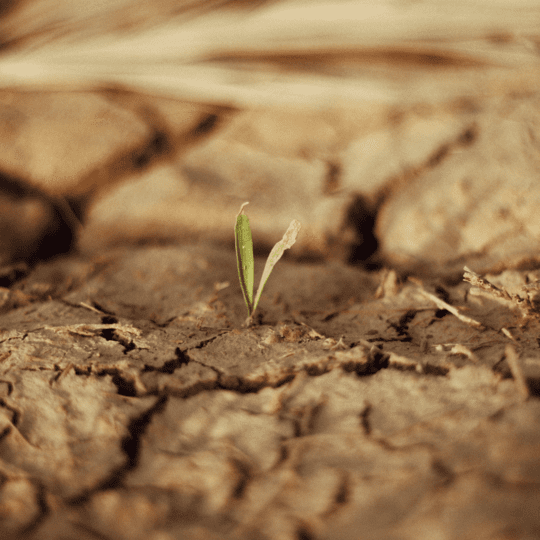 アトピーボイスイメージ