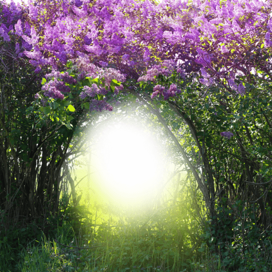 入門講座イメージ